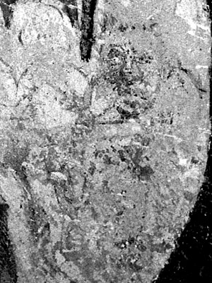 slemmn11.jpg (48765 bytes)