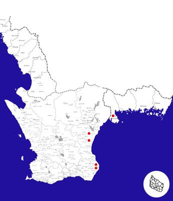 safa1.jpg (62932 bytes)